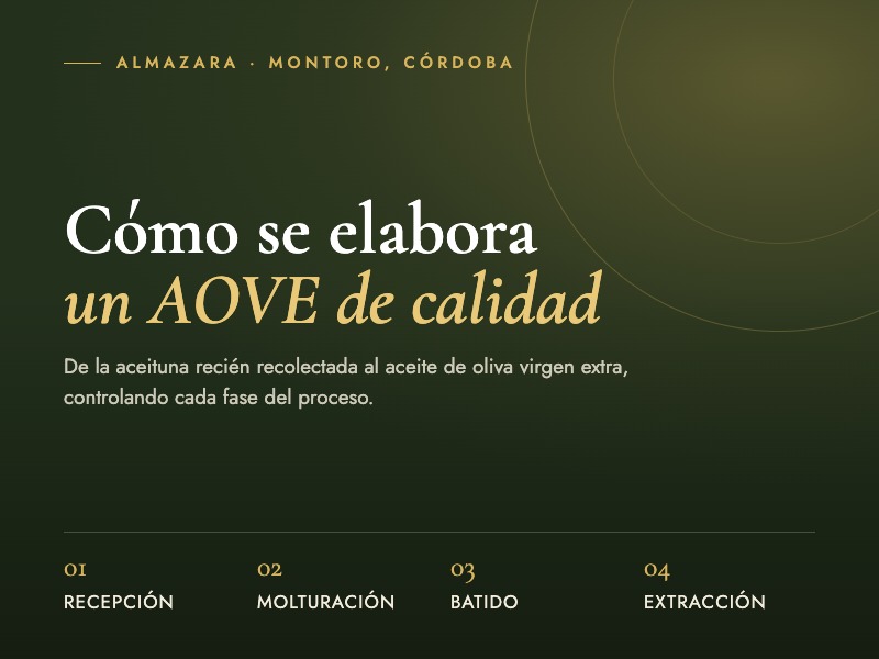 almazara aceite